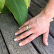 24K .31D Deco Ring 15mm