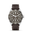 TUDOR Black Bay 58 Watch - M79010SG-0001 at Anton's Fine Jewelry
