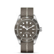 TUDOR Black Bay 58 Watch - M79010SG-0002 at Anton's Fine Jewelry