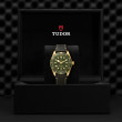 TUDOR Black Bay 58 18K Watch - M79018V-0001 at Anton's Fine Jewelry
