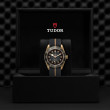 TUDOR Black Bay Bronze Watch - M79250BA-0002 at Anton's Fine Jewelry