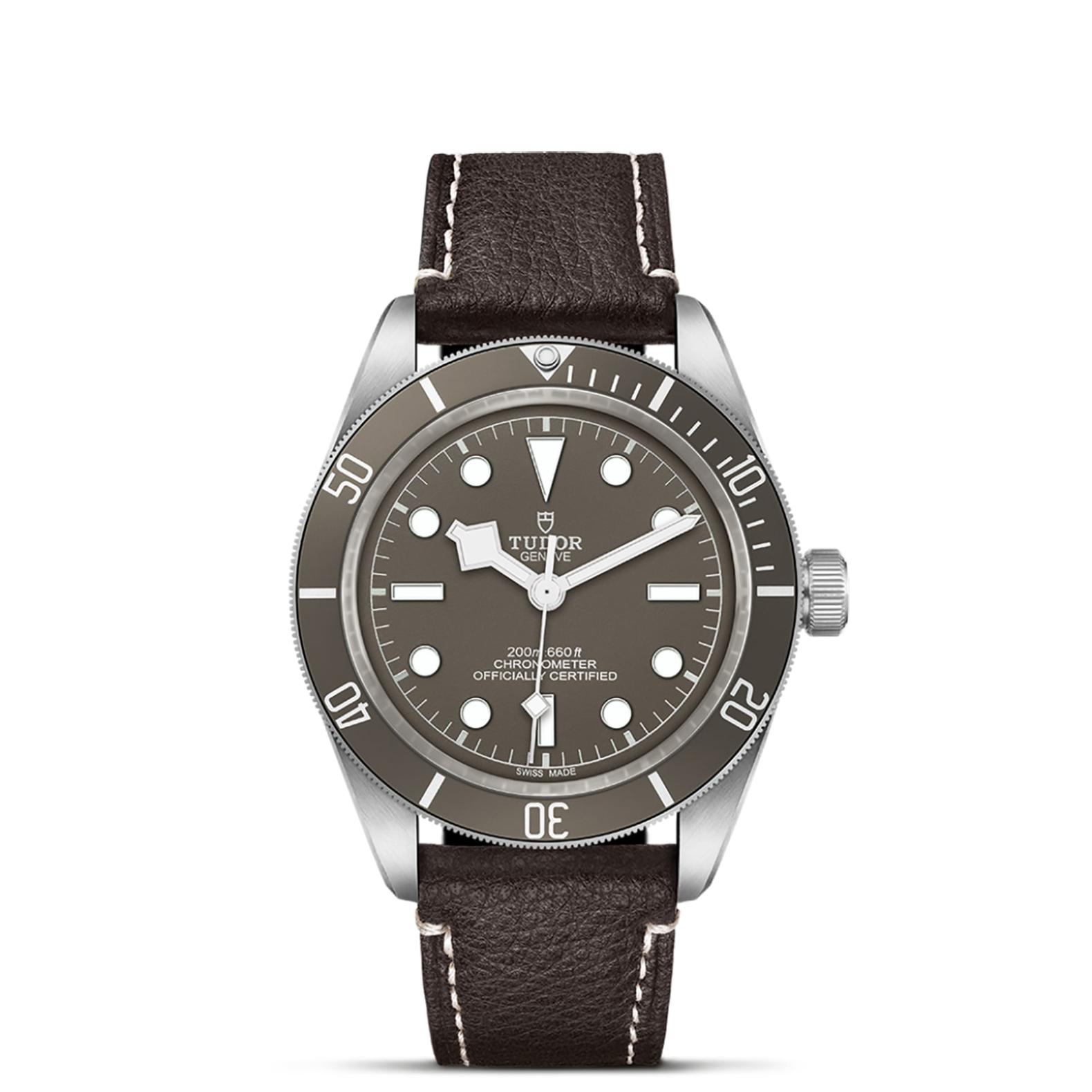 TUDOR Black Bay 58 Watch - M79010SG-0001 at Anton's Fine Jewelry